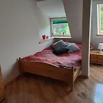 Blonia * Szczecin